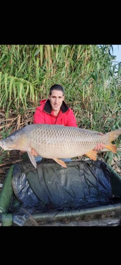 R U Ready Fishing, River Ebro Mequinenza Exterior foto